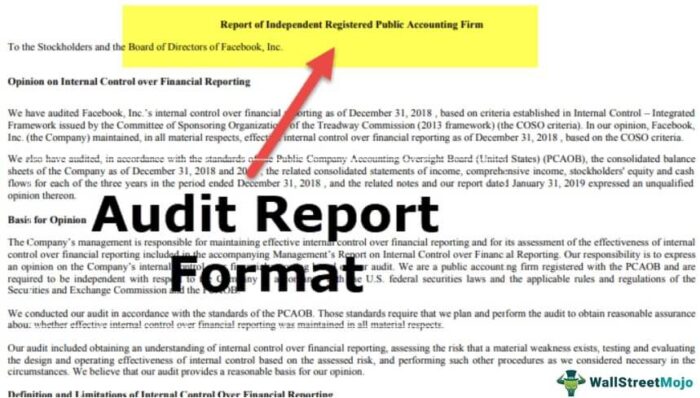 Format Laporan Audit