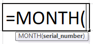 MONTH Excel Function