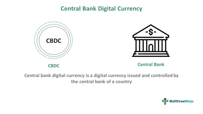 Mata Uang Digital Bank Sentral