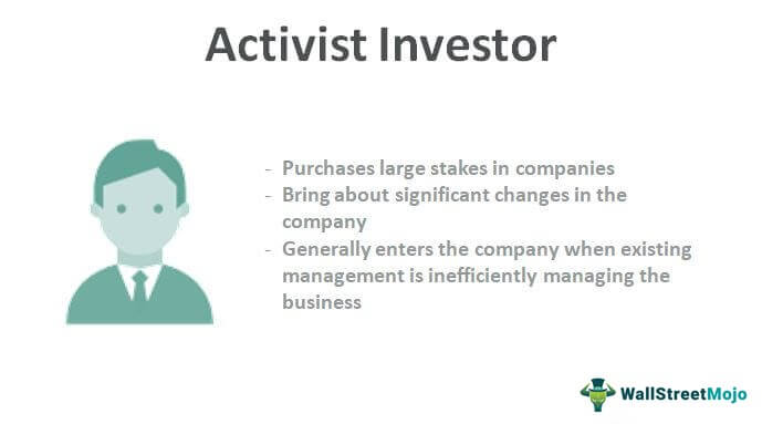 Investor Aktivis