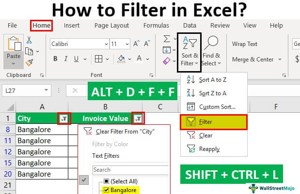 Filter di Excel
