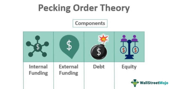 <em>Pecking Order Theory