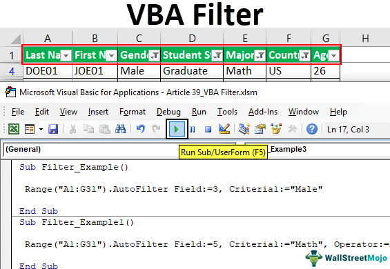 Data Filter VBA