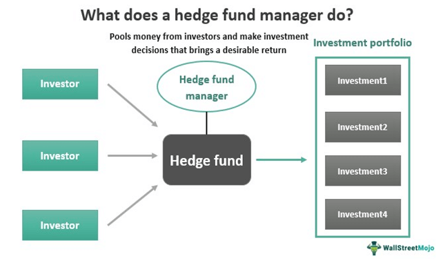 Hedge Fund Manager