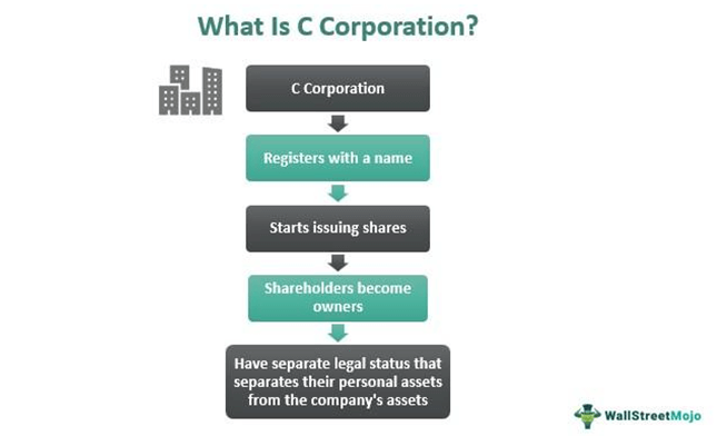 C Corporation