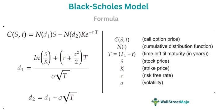 Model Black Scholes