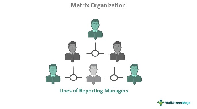 Organisasi Matrix