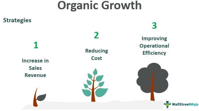 Pertumbuhan Organik
