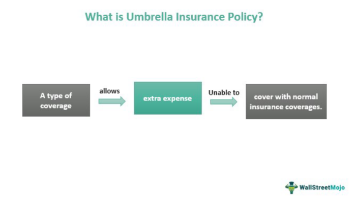 Asuransi Payung